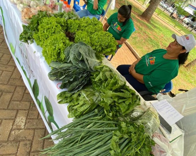 Suzano contribui para retirar mais de 97 mil pessoas da linha da pobreza em quatro anos