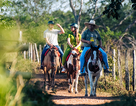 Venha viver a experiência do Pantanal 17 image 1379