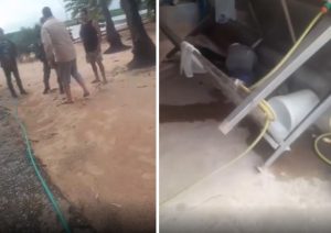 Onça-pintada que matou caseiro no Pantanal retorna ao local do ataque e causa destruição Onça-pintada que matou caseiro no Pantanal retorna ao local do ataque e causa destruição