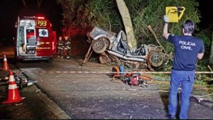 Pai e filho m0rrem em acidente na MS-276 após sua caminhonete colidir com árvore Pai e filho m0rrem em acidente na MS-276 após sua caminhonete colidir com árvore