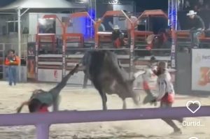 Peão que foi arrastado por um touro durante o rodeio está consciente e fora de perigo Peão que foi arrastado por um touro durante o rodeio está consciente e fora de perigo