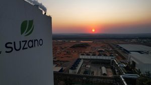 Suzano abre vagas de emprego para diferentes cidades de Mato Grosso do Sul
