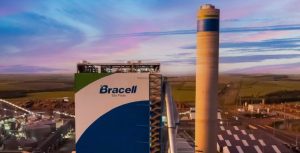 Bracell abre vagas para profissionais da área florestal e de celulose Bracell abre vagas para profissionais da área florestal e de celulose