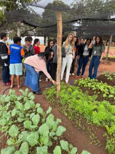 Projeto “Crescer e Colher” incentiva agroecologia e educação ambiental em escola municipal de Água Clara Projeto “Crescer e Colher” incentiva agroecologia e educação ambiental em escola municipal de Água Clara