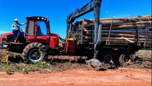 Formações promocionais pela Suzano geram oportunidades para mulheres no setor florestal em Ribas do Rio Pardo (MS) Formações promocionais pela Suzano geram oportunidades para mulheres no setor florestal em Ribas do Rio Pardo (MS)