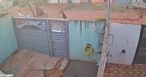 Homem é preso após furtar a mesma residência duas vezes na mesma madrugada em Campo Grande Homem é preso após furtar a mesma residência duas vezes na mesma madrugada em Campo Grande