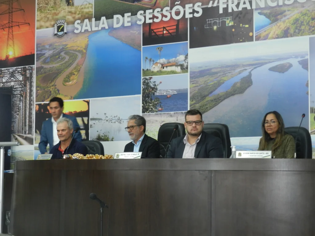Vereador Mirim de Castilho 2025: cerimônia de posse emociona comunidade escolar 2 vereador mirim castilho 2025 9