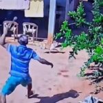 Criminoso invade residência e agride cães em Três Lagoas
