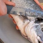 Em Três Lagoas, mulher morre engasgada com espinha de peixe, que perfurou seu esôfago