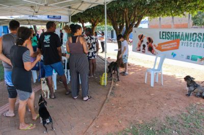 Dia D da Leishmaniose 21-08 (13)