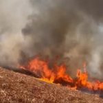 Incêndios atingem fazenda em Três Lagoas e margens da BR-262 em Água Clara