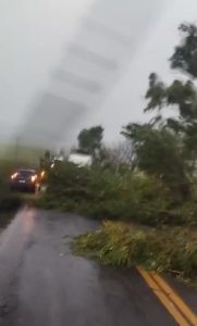 Temporal causa destruição em municípios de MS; a previsão para hoje é de temporal para todo o Estado