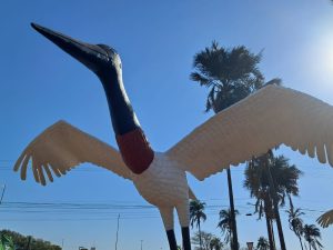 126 anos de Campo Grande: a cidade que inspira a arte de Cleir 126 anos de Campo Grande: a cidade que inspira a arte de Cleir