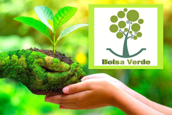 Bolsa verde 2025