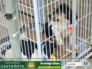 20251008 181530dia da crianca em castilho sp