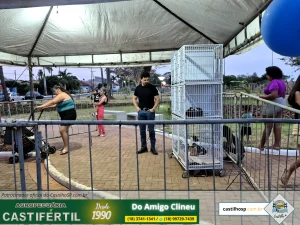 20251008 181902dia da crianca em castilho sp