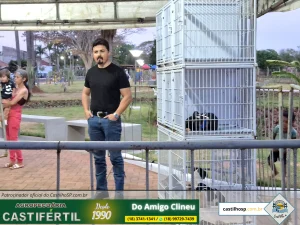 20251008 181905dia da crianca em castilho sp