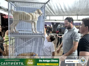 20251008 183905dia da crianca em castilho sp