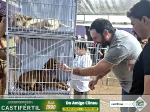 20251008 183912dia da crianca em castilho sp
