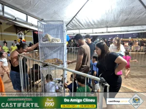 20251008 184213dia da crianca em castilho sp