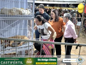 20251008 193614dia da crianca em castilho sp