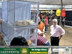 20251008 193651dia da crianca em castilho sp