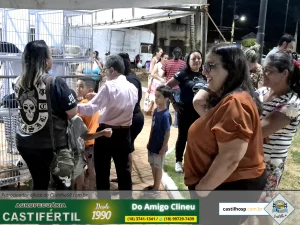 20251008 194134dia da crianca em castilho sp