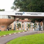 OLIMPÍADAS CIENTÍFICAS UNESP: RESULTADO PRELIMINAR DIVULGADO