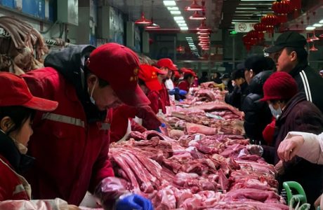 CARNE BOVINA: INDONÉSIA AUTORIZA FRIGORÍFICOS BRASILEIROS