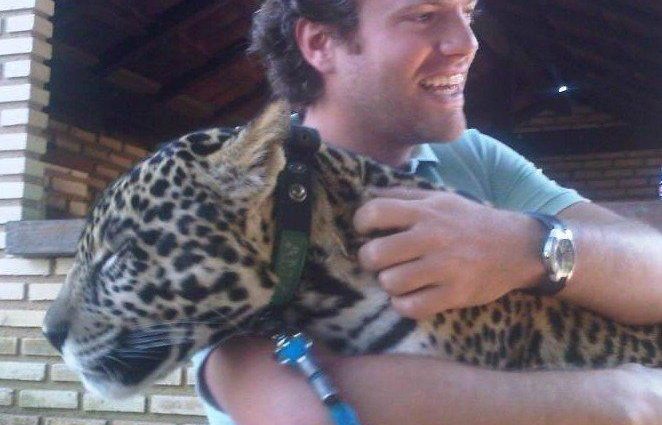 OTTO BAUMGART: SAIBA MAIS SOBRE O EMPRESÁRIO