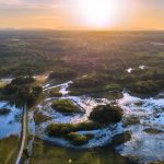 PANTANAL É DESTAQUE EM TURISMO INTERNACIONAL EM 2025