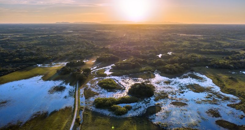 PANTANAL É DESTAQUE EM TURISMO INTERNACIONAL EM 2025