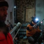 USO DE AREIA PARA GATOS EM KIEV: SOLUÇÃO PRÁTICA