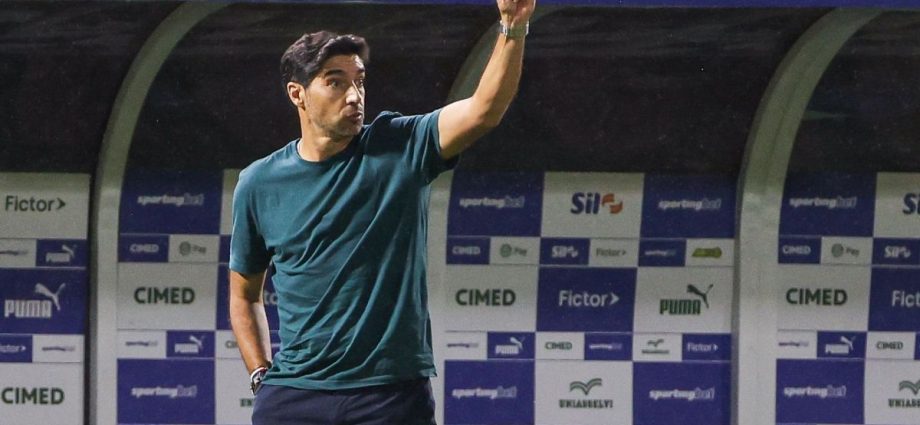 PALMEIRAS: A GARANTIA DE UM TIME COMPETITIVO