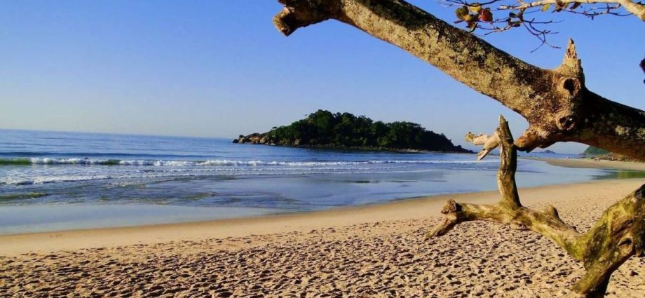 CORPOS ENCONTRADOS NO MAR DE BERTIOGA: INVESTIGAÇÃO EM CURSO