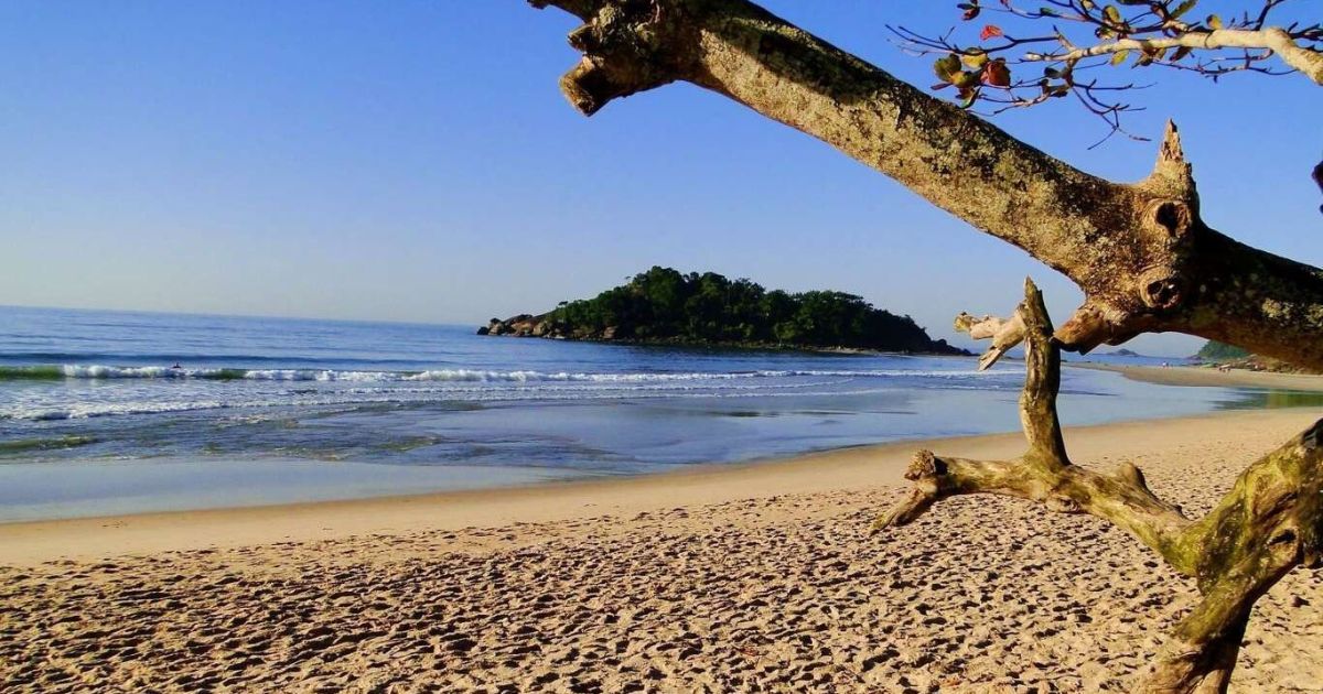 CORPOS ENCONTRADOS NO MAR DE BERTIOGA: INVESTIGAÇÃO EM CURSO