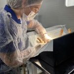 CASTRAMÓVEL: INICIA ATIVIDADES EM ANDRADINA EM 2026