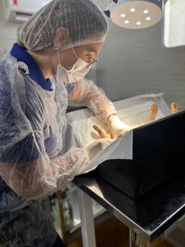 CASTRAMÓVEL: INICIA ATIVIDADES EM ANDRADINA EM 2026