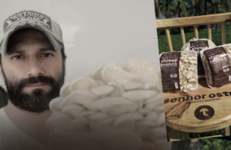 SHIMEJI: A TRANSFORMAÇÃO DE RAFAEL VERONEZE EM EMPREENDEDOR