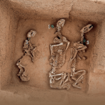 ZOOLOGIA ANTIGA: DESCOBERTA DE FOSSAS NA CHINA