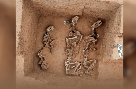 ZOOLOGIA ANTIGA: DESCOBERTA DE FOSSAS NA CHINA