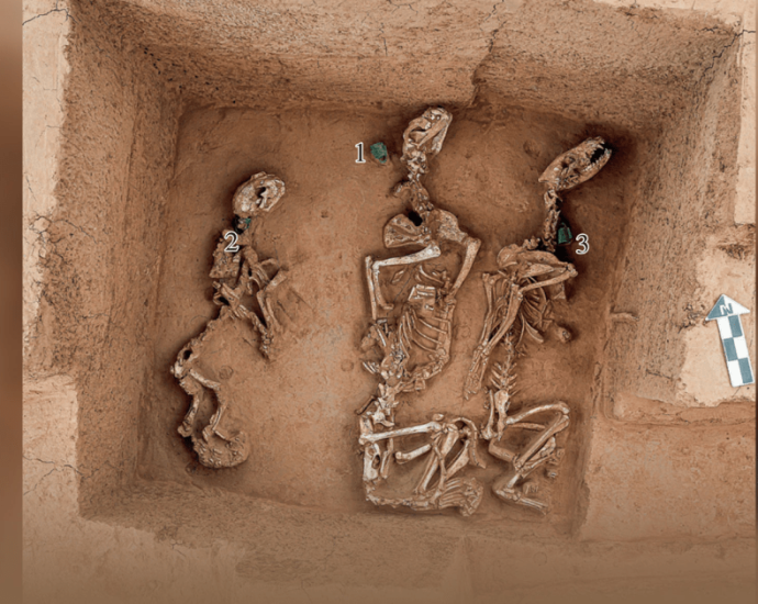 ZOOLOGIA ANTIGA: DESCOBERTA DE FOSSAS NA CHINA