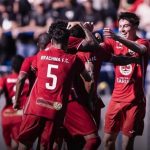 IBRACHINA: SURPRESA NA COPINHA QUE ELIMINOU O PALMEIRAS