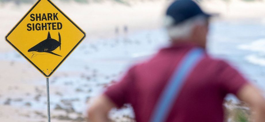 ATAQUES DE TUBARÃO: PRAIAS DE SYDNEY FECHADAS