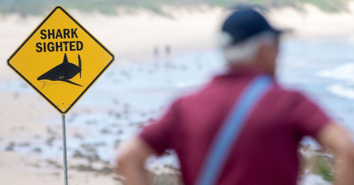 ATAQUES DE TUBARÃO: PRAIAS DE SYDNEY FECHADAS