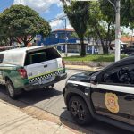 COMÉRCIO ILEGAL DE ANIMAIS: 230 ANIMAIS SALVOS EM SP