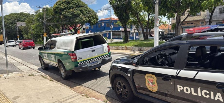 COMÉRCIO ILEGAL DE ANIMAIS: 230 ANIMAIS SALVOS EM SP