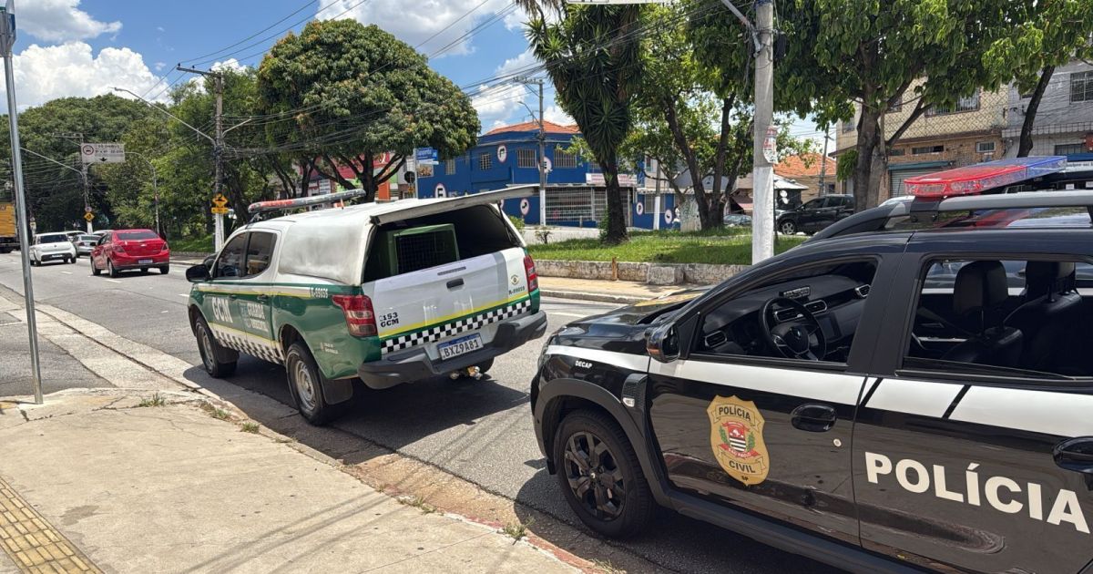 COMÉRCIO ILEGAL DE ANIMAIS: 230 ANIMAIS SALVOS EM SP