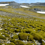 ANTÁRTICA: PESQUISA REVELA PAISAGEM DESCONHECIDA