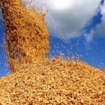 MERCOSUL-UE: OPORTUNIDADES DE EXPORTAÇÃO PARA EMPRESAS